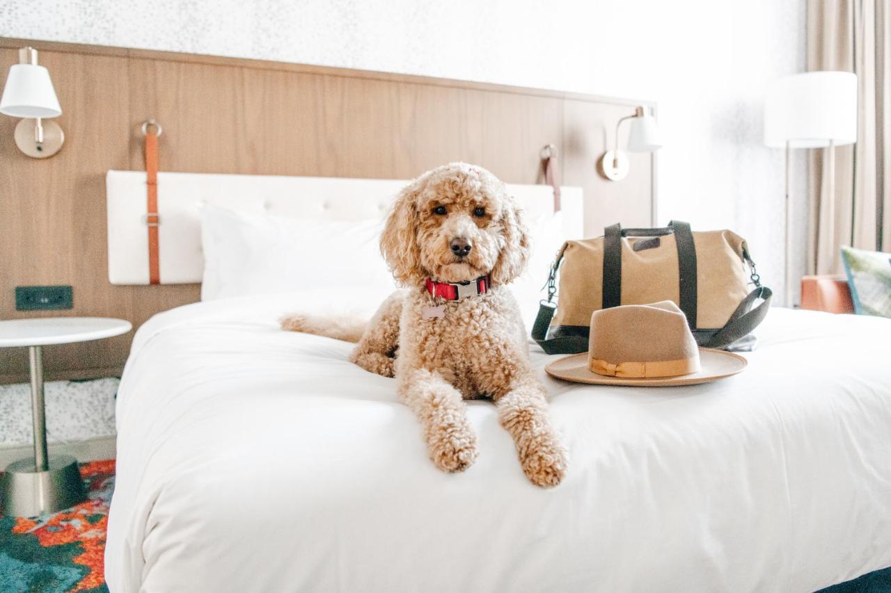 Hyatt Centric Downtown Denver Ngoại thất bức ảnh